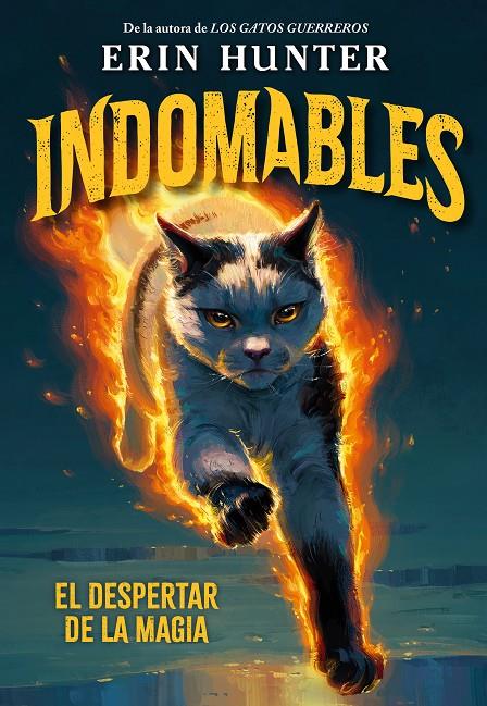 INDOMABLES 1 : EL DESPERTAR DE LA MAGIA | 9791388042027 | HUNTER, ERIN