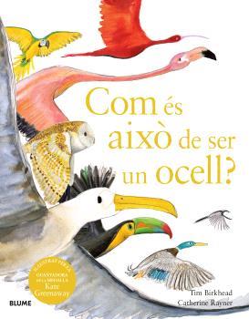 COM ÉS AIXÒ DE SER UN OCELL? | 9788410048102 | BIRKHEAD, TIM ; RAYNER, CATHERINE