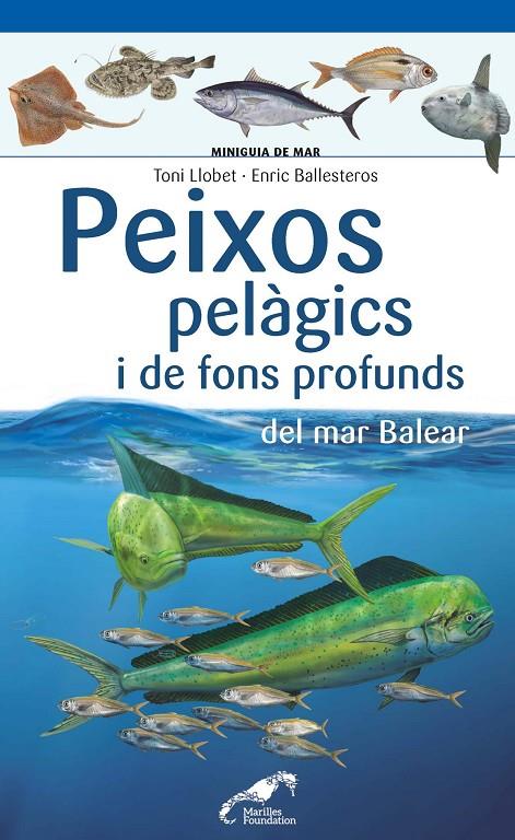 PEIXOS PELAGICS I DE FONS PROFUNDS DEL MAR BALEAR | 9788490349397 | LLOBET, TONI33