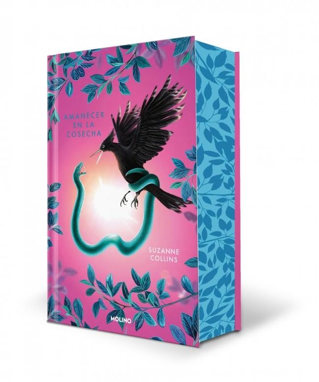 JUEGOS DEL HAMBRE 5 : AMANECER EN LA COSECHA (EDICIÓN CANTOS PINTADOS) | 9788427257702 | COLLINS, SUZANNE