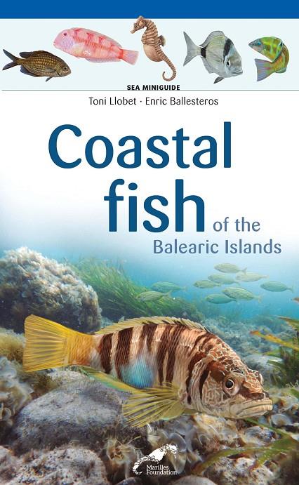 COASTAL FISH OF THE BALEARIC ISLANDS | 9788490349427 | LLOBET, TONI