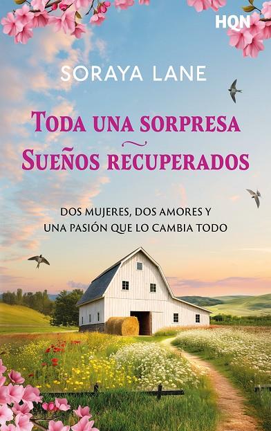 TODA UNA SORPRESA ; SUEÑOS RECUPERADOS | 9791370176969 | LANE, SORAYA