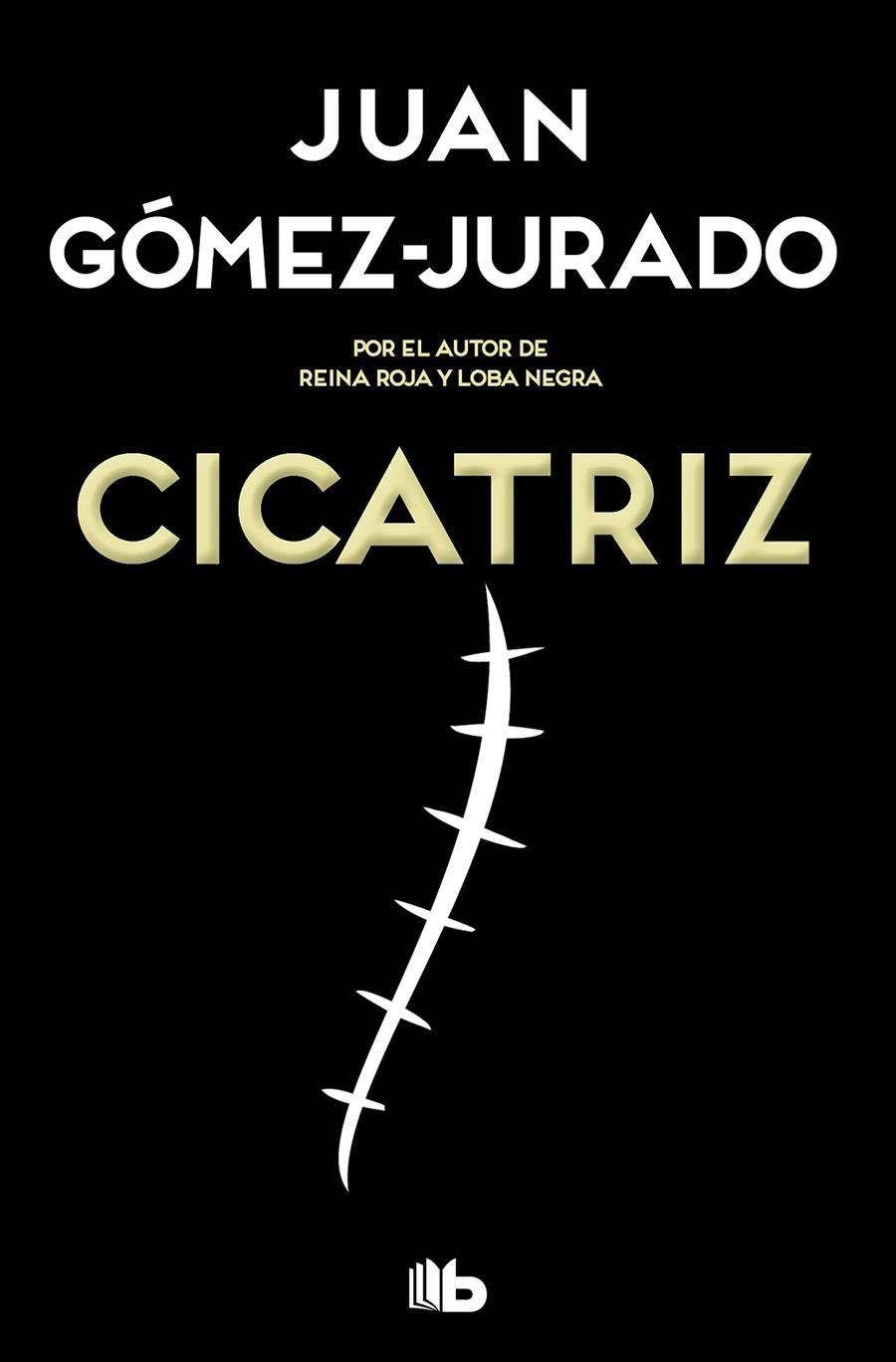 CICATRIZ | 9788413142449 | GOMEZ-JURADO, JUAN