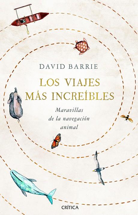 VIAJES MAS INCREIBLES : MARAVILLAS DE LA NAVEGACION ANIMAL | 9788491992059 | BARRIE, DAVID