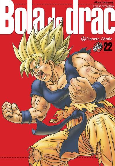 BOLA DE DRAC 22 | 9788413419046 | TORIYAMA, AKIRA