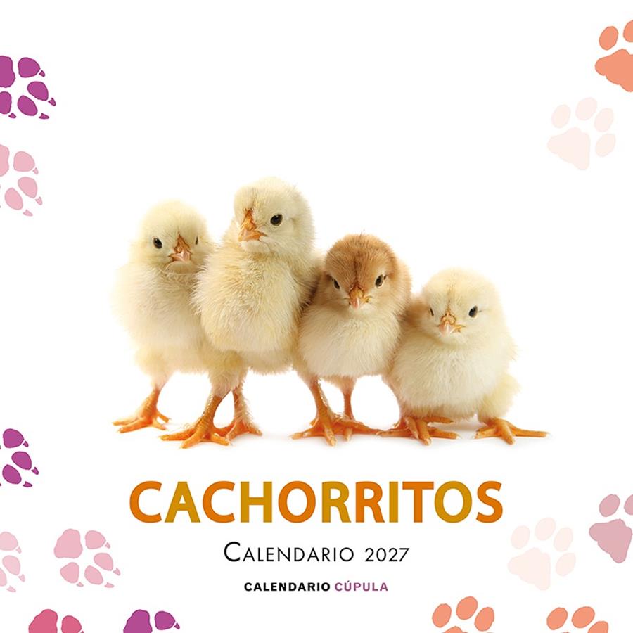CALENDARIO CACHORRITOS 2027 | 9788448049317