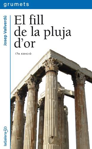 FILL DE LA PLUJA D'OR, EL | 9788424681234 | VALLVERDU, JOSEP
