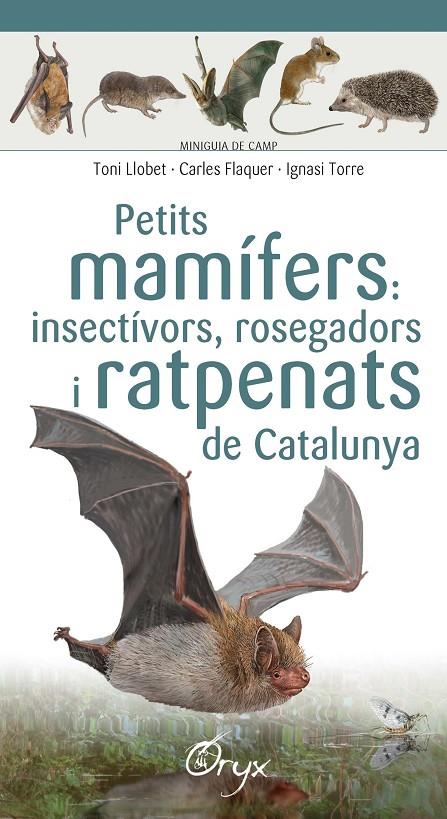 PETITS MAMIFERS INSECTIVORS, ROSEGADORS I RATPENATS DE CATALUNYA | 9788490348956 | LLOBET, TONI