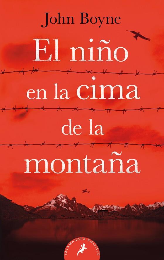 NIÑO EN LA CIMA DE LA MONTAÑA, EL | 9788498388329 | BOYNE, JOHN