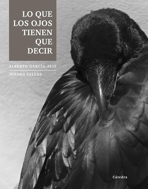 LO QUE LOS OJOS TIENEN QUE DECIR | 9788437633251 | GARCIA-ALIX, ALBERTO
