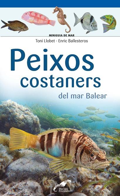 PEIXOS COSTANERS DEL MAR BALEAR | 9788490349403 | LLOBET, TONI
