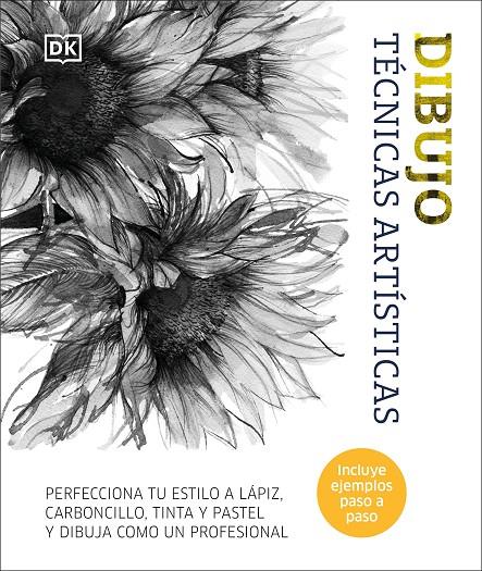DIBUJO : TÉCNICAS ARTÍSTICAS | 9780241642825