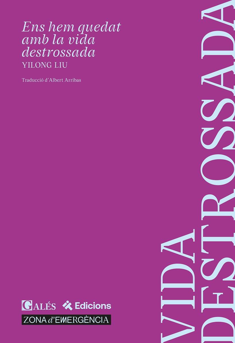 ENS HEM QUEDAT AMB LA VIDA DESTROSSADA | 9791399053500 | YILONG LIU