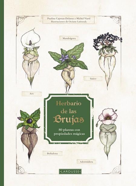 HERBARIO DE LAS BRUJAS : 80 PLANTAS CON PROPIEDADES MÁGICAS | 9788419250926 | CAPMAS-DELARUE, PAULINE ; VIARD, MICHEL