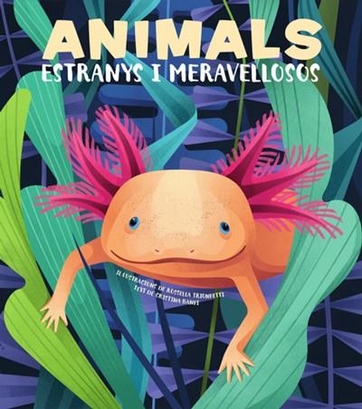 ANIMALS EXTRANYS I MERAVELLOSOS  | 9788468270685 | BANFI, CRISTINA