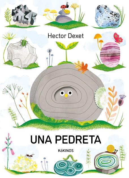 UNA PEDRETA | 9791387686413 | DEXET, HECTOR