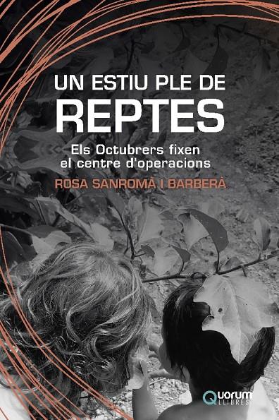 UN ESTIU PLE DE REPTES | 9788416342594 | SANROMÀ I BARBERÀ, ROSA