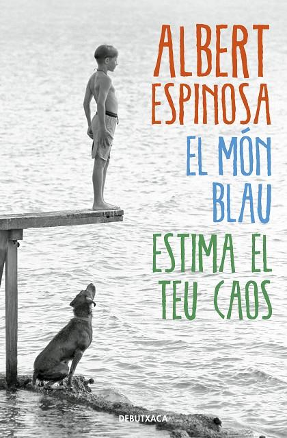 MON BLAU ESTIMA EL TEU CAOS, EL | 9788418132537 | ESPINOSA, ALBERT