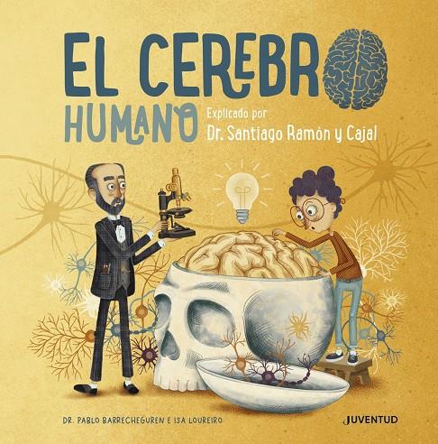 CEREBRO HUMANO, EL | 9788426147110 | BARRECHEGUREN, PABLO