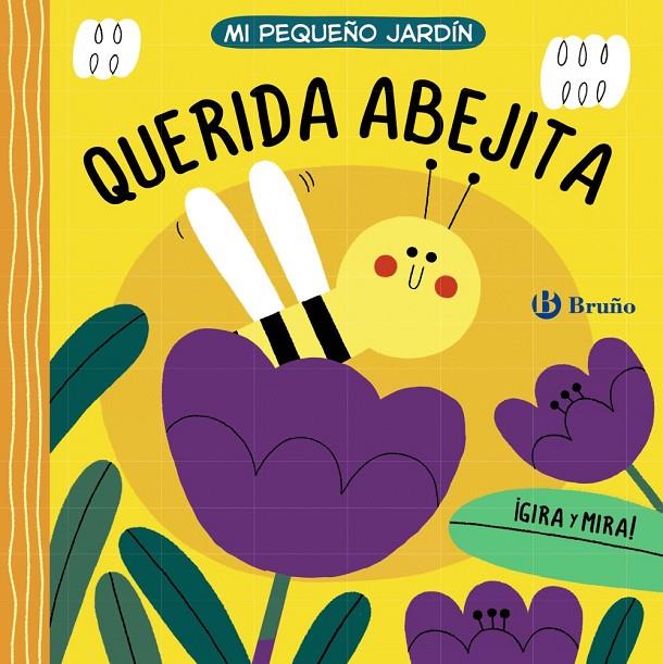 QUERIDA ABEJITA | 9788469662939