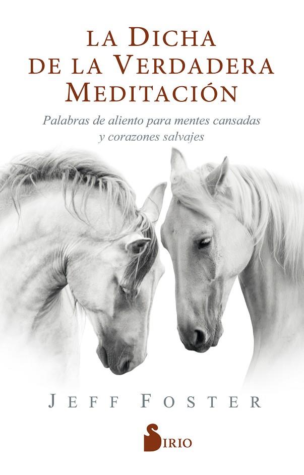 DICHA DE LA VERDADERA MEDITACION, LA | 9788418000522 | FOSTER, JEFF