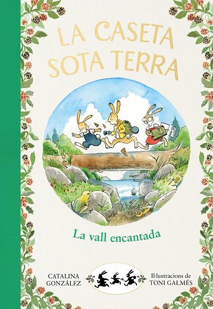 CASETA SOTA TERRA : LA VALL ENCANTADA | 9788417921064 | GONZALEZ, CATALINA ; GALMES, TONI