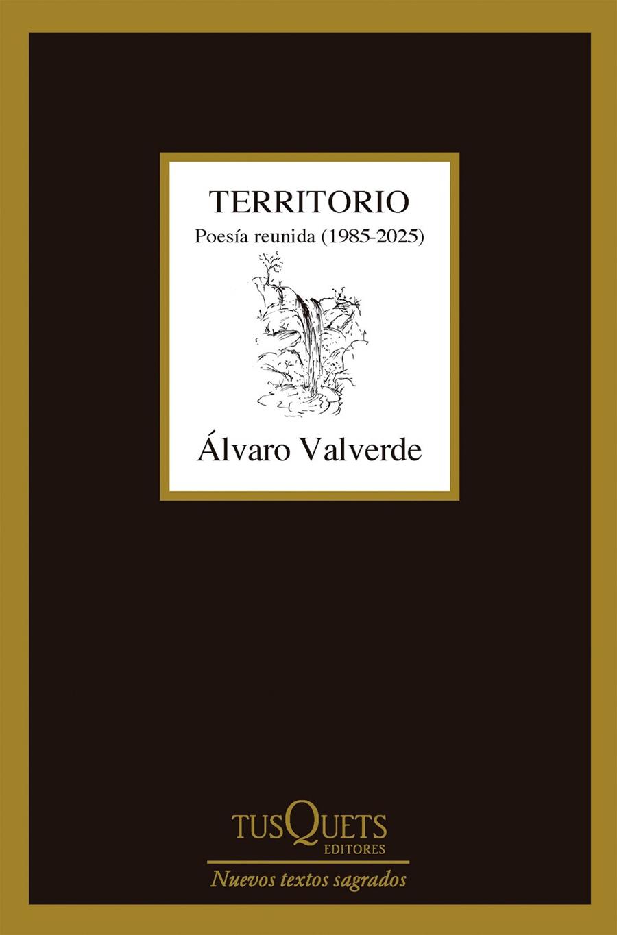 TERRITORIO : POESÍA REUNIDA (1985-2025) | 9788411077361 | VALVERDE, ÁLVARO