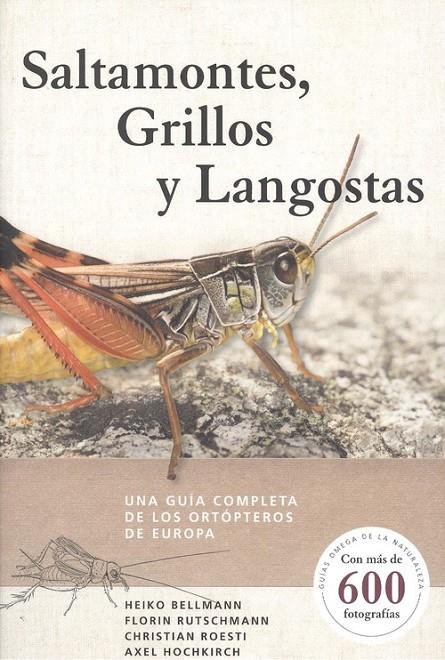 SALTAMONTES, GRILLOS Y LANGOSTAS | 9788428217279 | VV AA
