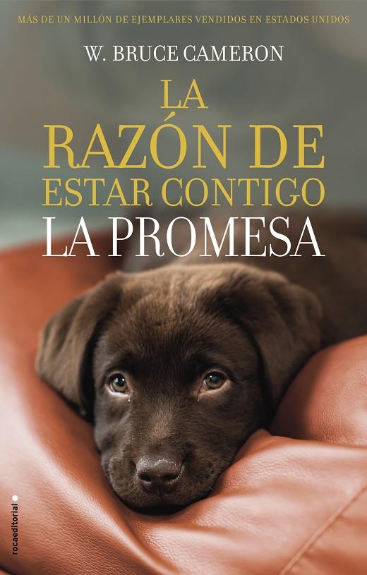 RAZON DE ESTAR CONTIGO, LA. LA PROMESA | 9788417167103 | CAMERON, BRUCE