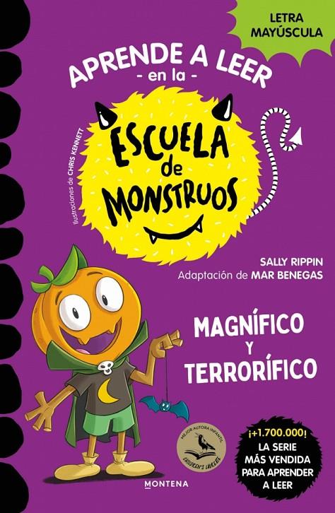 ESCUELA DE MONSTRUOS 25 : MAGNÍFICO Y TERRORÍFICO | 9791387809829 | RIPPIN, SALLY