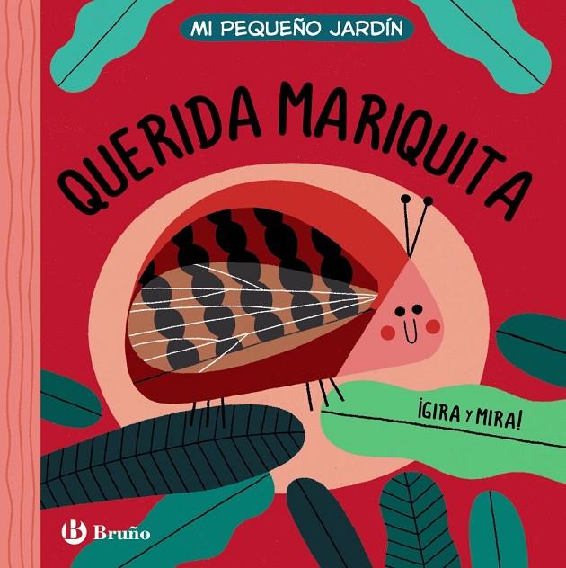 QUERIDA MARIQUITA | 9788469662946