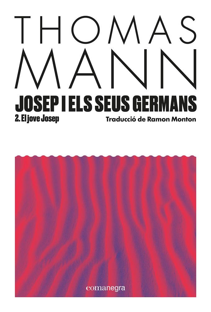JOSEP I ELS SEUS GERMANS 2 : EL JOVE JOSEP | 9788410161856 | MANN, THOMAS