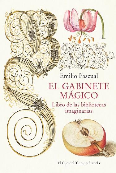 GABINETE MÁGICO, EL | 9788419553041 | PASCUAL, EMILIO