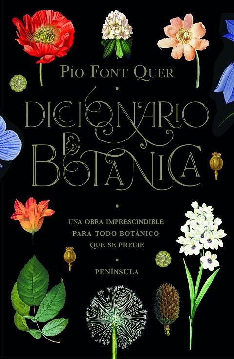 DICCIONARIO DE BOTANICA | 9788499429076 | FONT QUER, PIO