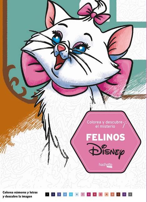 COLOREA Y DESCUBRE EL MISTERIO : FELINOS | 9788417586041 | VARIOS AUTORES