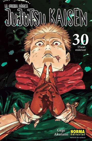 JUJUTSU KAISEN 30 (CATALÀ) | 9788467976281 | AKUTAMI, GEGE