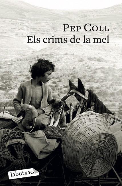 CRIMS DE LA MEL, ELS | 9791387802196 | COLL, PEP