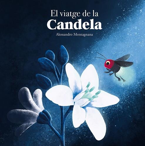 VIATGE DE LA CANDELA, EL | 9788410074415 | MONTAGNANA, ALESSANDRO 