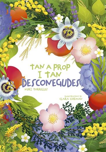 TAN A PROP I TAN DESCONEGUDES | 9791387878146 | TORRELLES, NURI ; CORMAN, CLARA