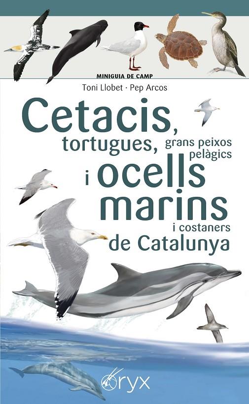 CETACIS TORTUGUES GRANS PEIXOS I OCELLS MARINS DE CATALUNYA | 9788490349441 | LLOBET, TONI