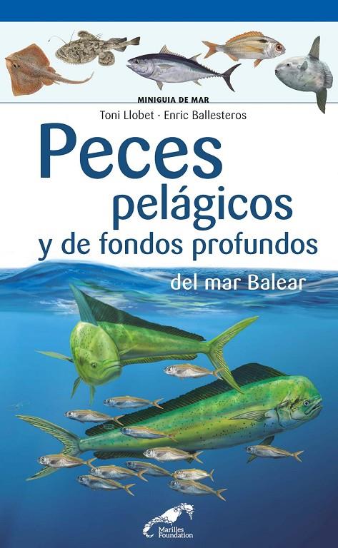 PECES PELAGICOS Y DE FONDOS PROFUNDOS DEL MAR BALEAR | 9788490349571 | LLOBET, TONI