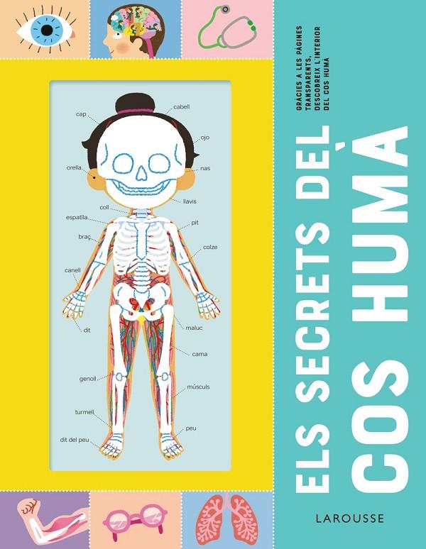 SECRETS DEL COS HUMÀ, ELS | 9788418473227 | LUTHRINGER, MELISANDE