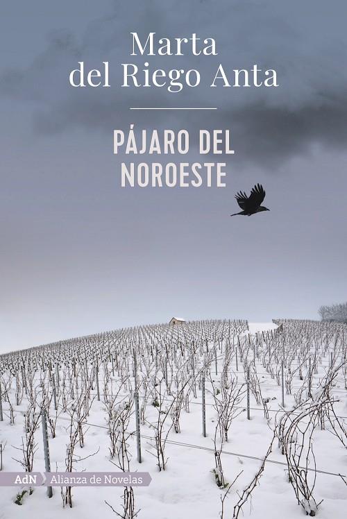 PAJARO DEL NOROESTE | 9788413620558 | RIEGO ANTA, MARTA DEL
