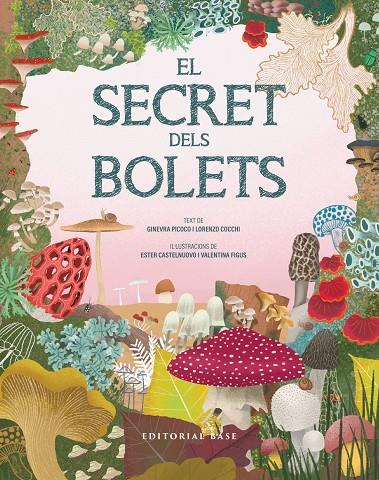 SECRET DELS BOLETS, EL | 9791387728502 | PICOCO, GINEVRA ; COCCHI, LORENZO