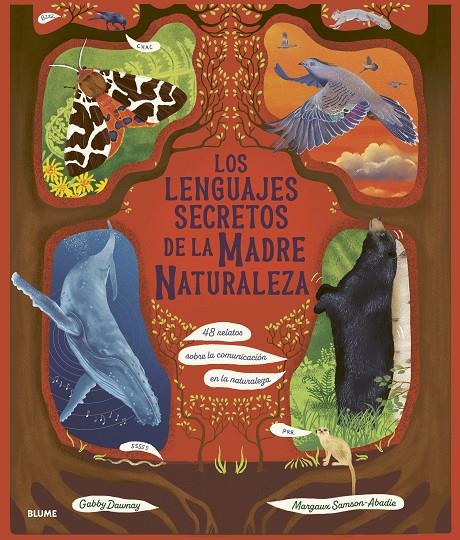 LENGUAJES SECRETOS DE LA MADRE NATURALEZA, LOS | 9788410469945 | DAWNAY, GABBY ; SAMSON ABADIE, MARGAUX