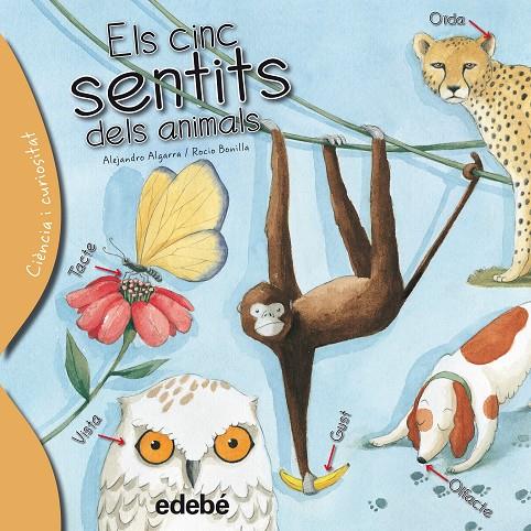 CINC SENTITS DELS ANIMALS, ELS | 9788468329635 | ALGARRA, ALEJANDRO ; BONILLA, ROCIO