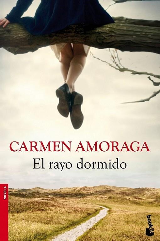 RAYO DORMIDO, EL | 9788423346714 | AMORAGA,CARMEN