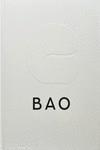 BAO (ANGLÈS) | 9781838666200 | CHANG, ERCHEN ; CHING, SHING TAT ; TING CHUNG, WAI