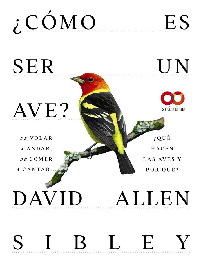 ¿CÓMO ES SER UN AVE? DE VOLAR A ANIDAR, DE COMER A CANTAR...  | 9788441549050 | ALLEN SIBLEY, DAVID