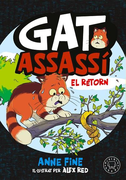 DIARI D’UN GAT ASSASSÍ 2 :  EL RETORN | 9791388154560 | FINE, ANNE ; RED, ALEX